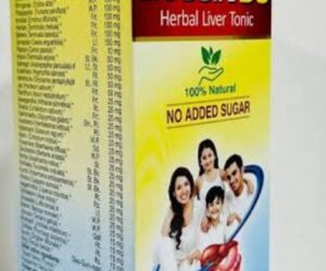 Livosin Ds syp 450ml