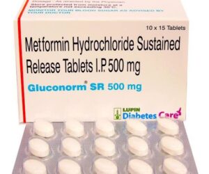 Gluconorm SR 500 tab