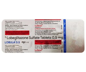 Lobula 0.5 tb