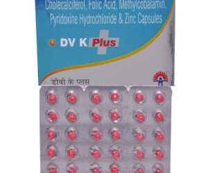 DV K plus