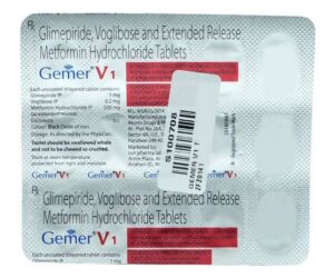 Gemer V1