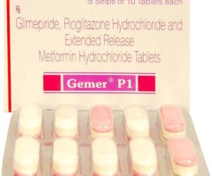 Gemer P1