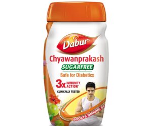 Chyawanprakash Sugar Free 500g