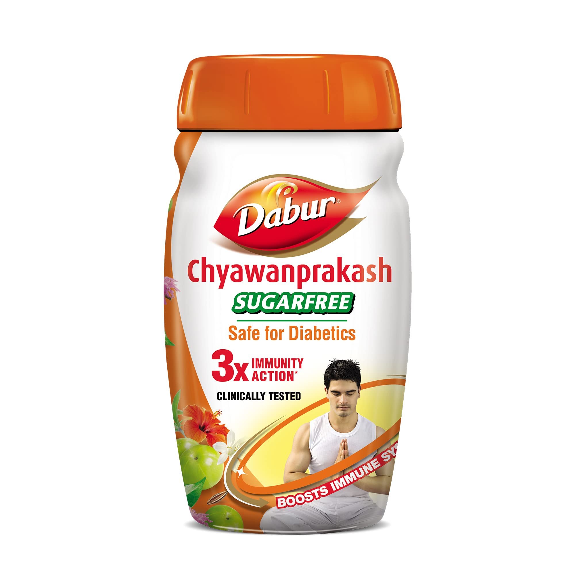 Chyawanprakash Sugar Free 500g