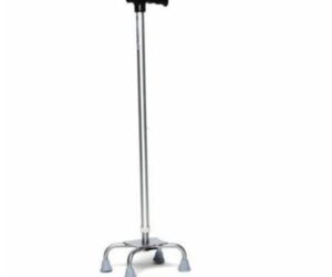 Walking stick Tynor