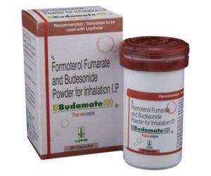 Budamate 400 transcaps