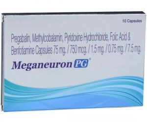 Meganeuron pg