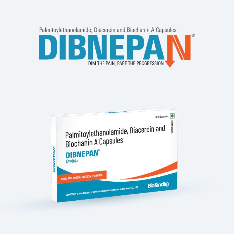 dibnepan cap